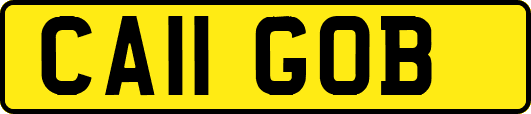 CA11GOB