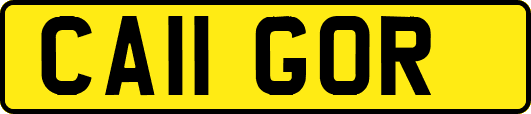 CA11GOR