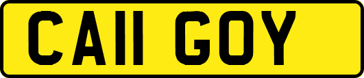 CA11GOY