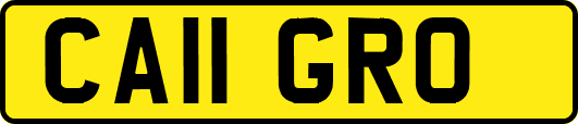 CA11GRO