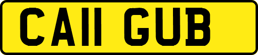 CA11GUB