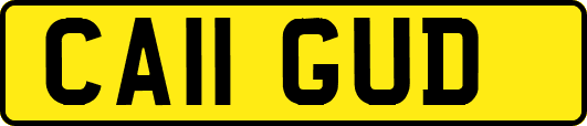 CA11GUD