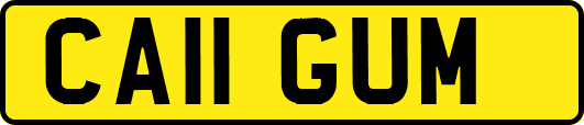 CA11GUM