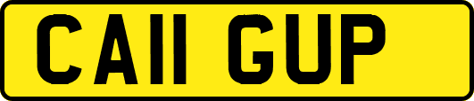 CA11GUP