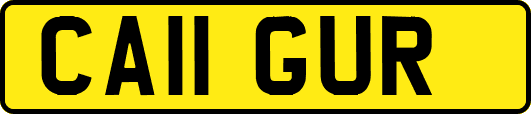 CA11GUR