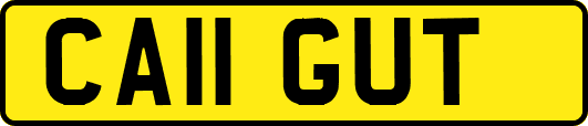 CA11GUT
