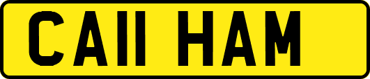 CA11HAM