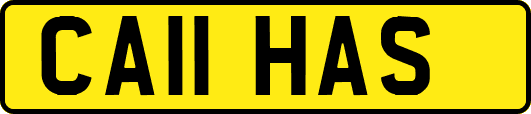 CA11HAS