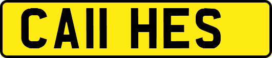 CA11HES