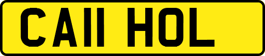 CA11HOL