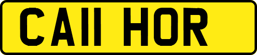 CA11HOR