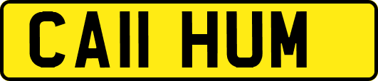 CA11HUM