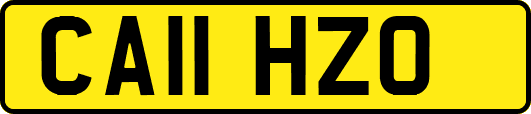 CA11HZO