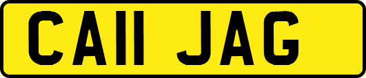 CA11JAG