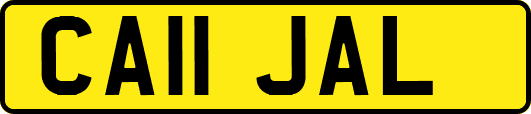 CA11JAL