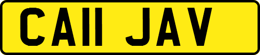 CA11JAV