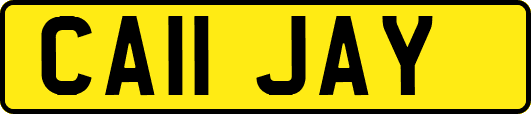 CA11JAY