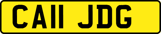 CA11JDG