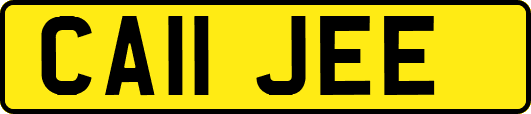 CA11JEE