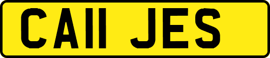 CA11JES