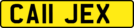 CA11JEX