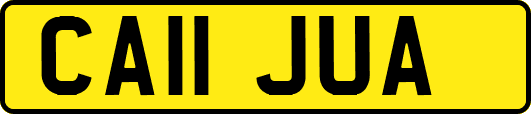 CA11JUA