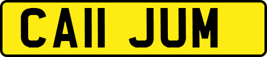 CA11JUM