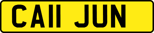 CA11JUN