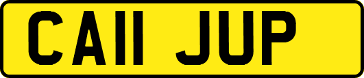 CA11JUP