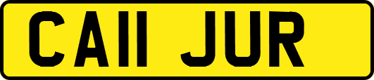 CA11JUR