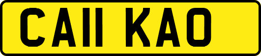 CA11KAO