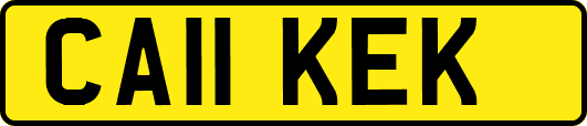 CA11KEK