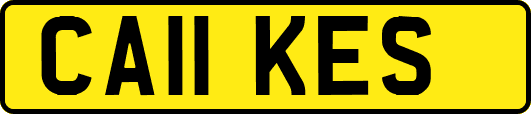 CA11KES