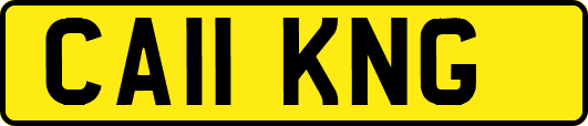 CA11KNG