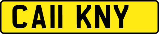 CA11KNY