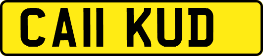 CA11KUD