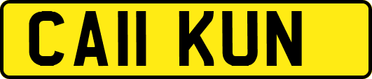 CA11KUN