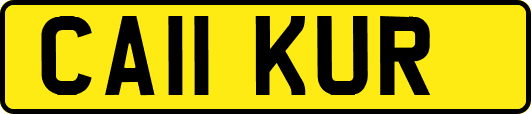 CA11KUR