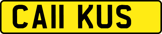 CA11KUS