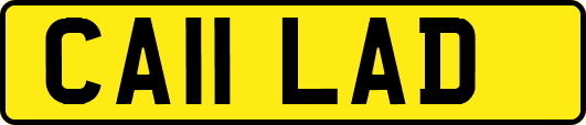 CA11LAD