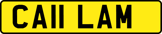 CA11LAM