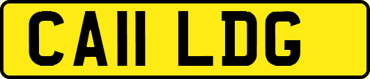 CA11LDG