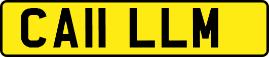 CA11LLM