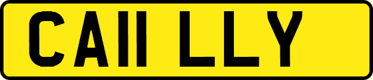 CA11LLY
