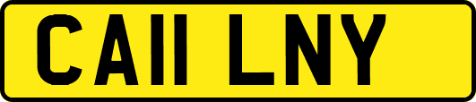 CA11LNY