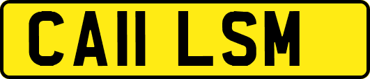 CA11LSM
