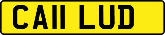 CA11LUD