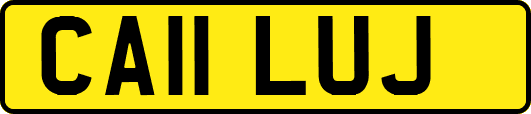 CA11LUJ