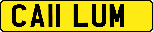 CA11LUM