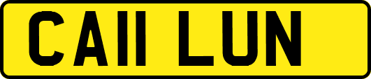 CA11LUN